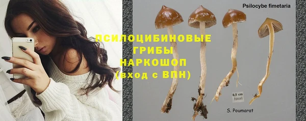 шишки Осташков