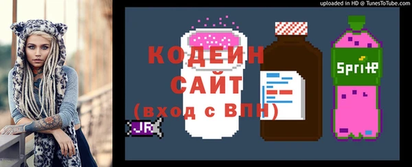 шишки Осташков