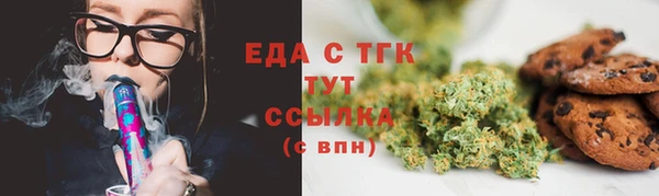 шишки Осташков