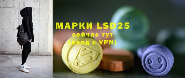 шишки Осташков