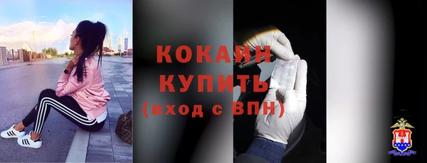 шишки Осташков