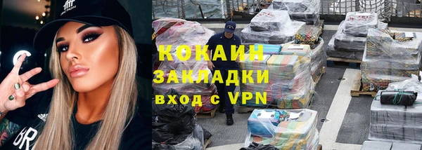 шишки Осташков