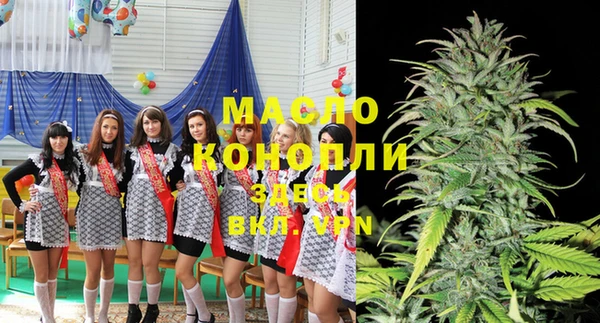 шишки Осташков