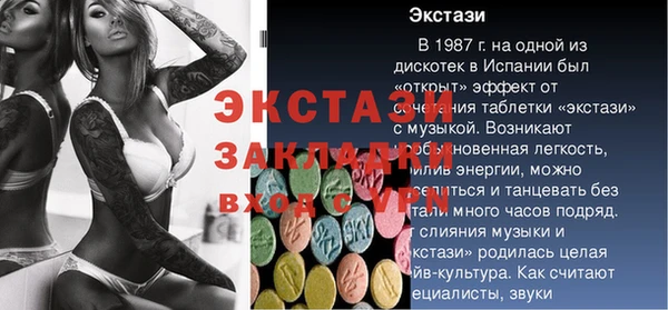 шишки Осташков